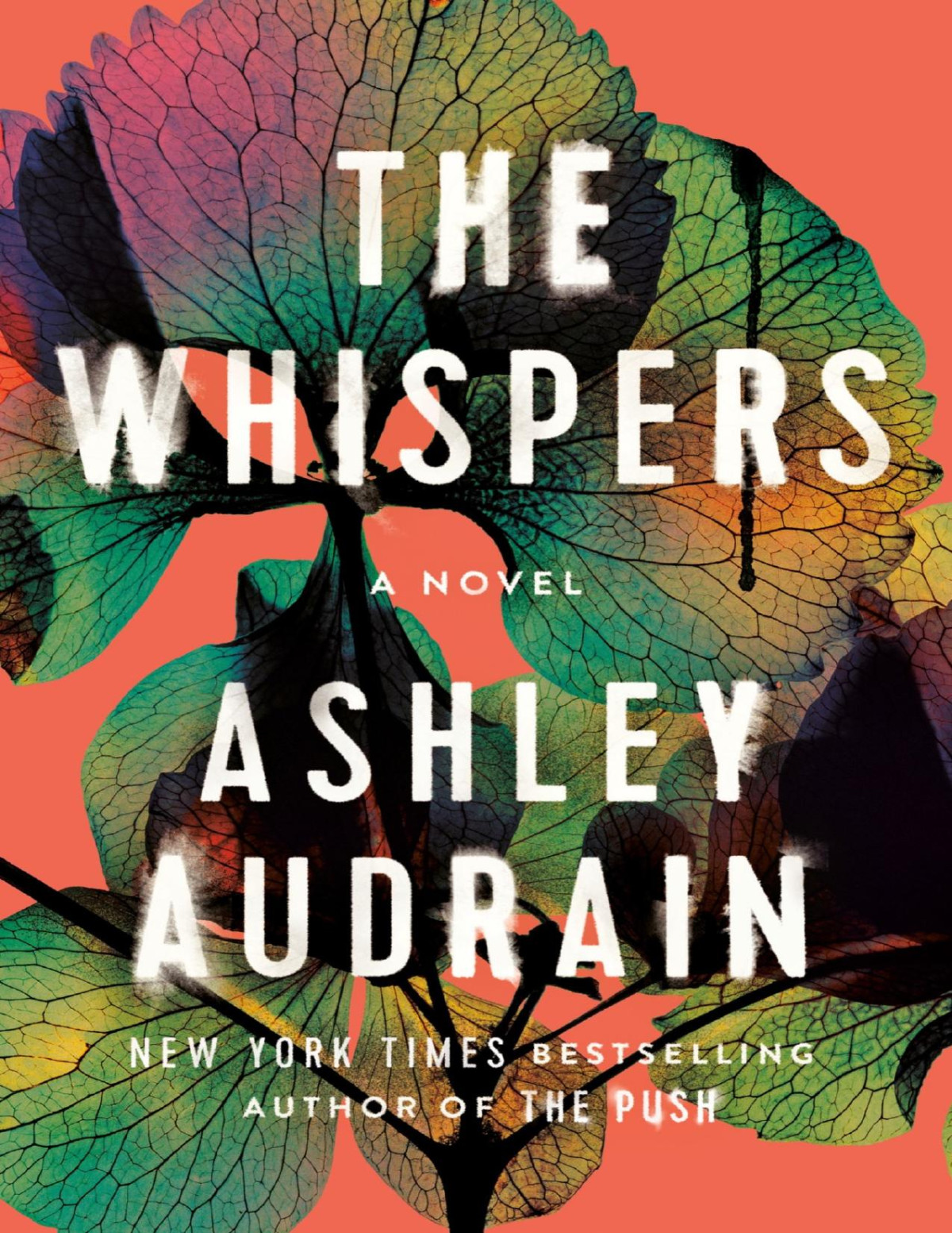 The Whispers A Novel Ashley Audrain