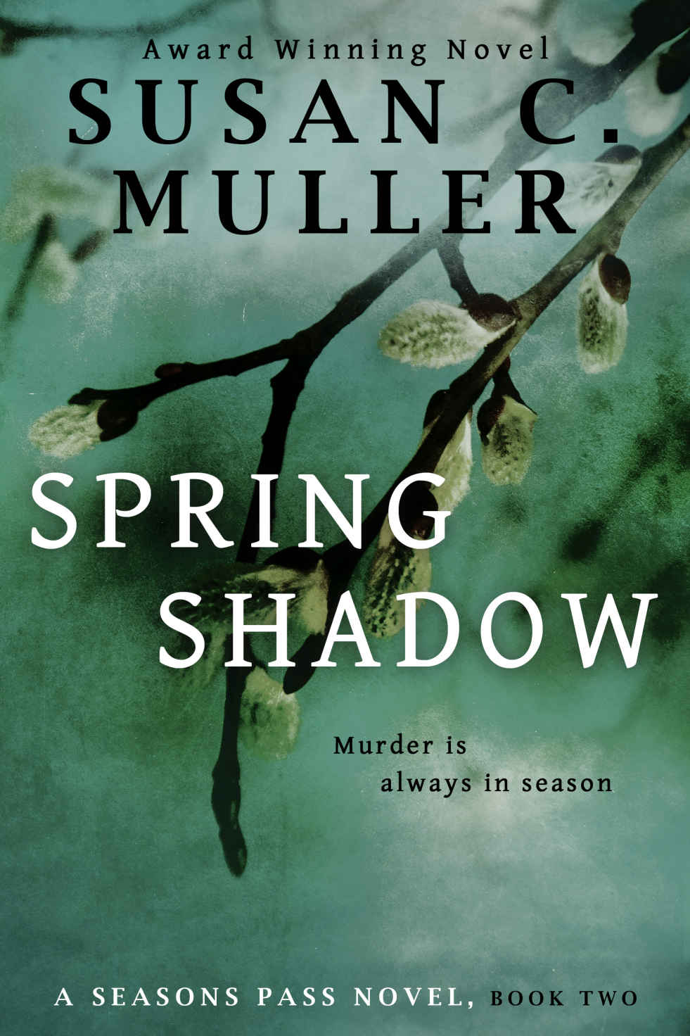 Seasons Pass 02spring Shadow Susan C Muller
