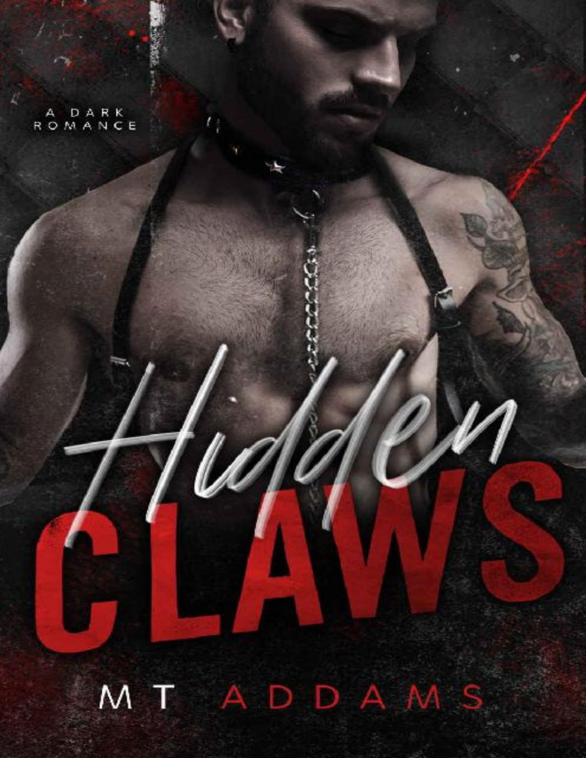 Hidden Claws A Dark Romance Novel Mt Addams