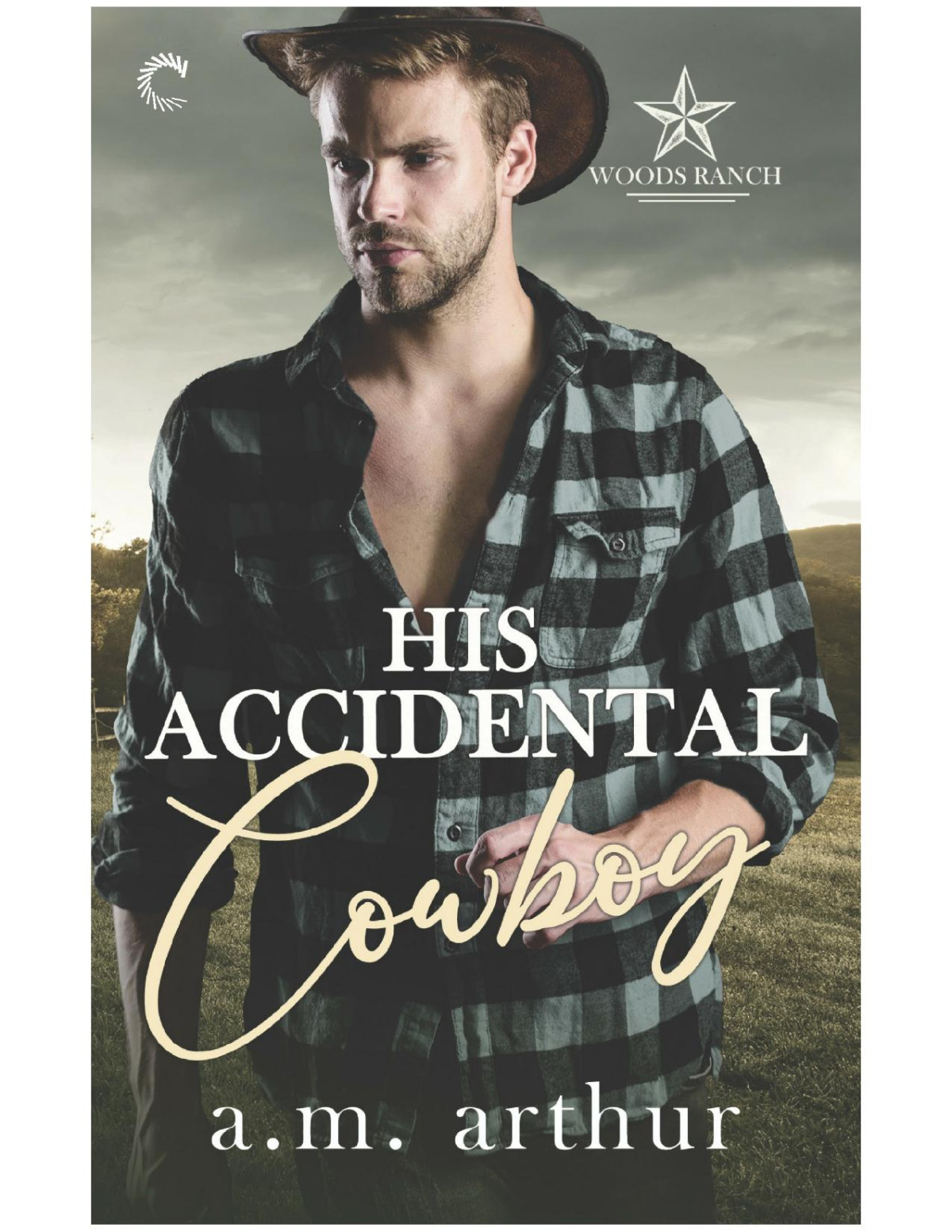 His Accidental Cowboy Am Arthur