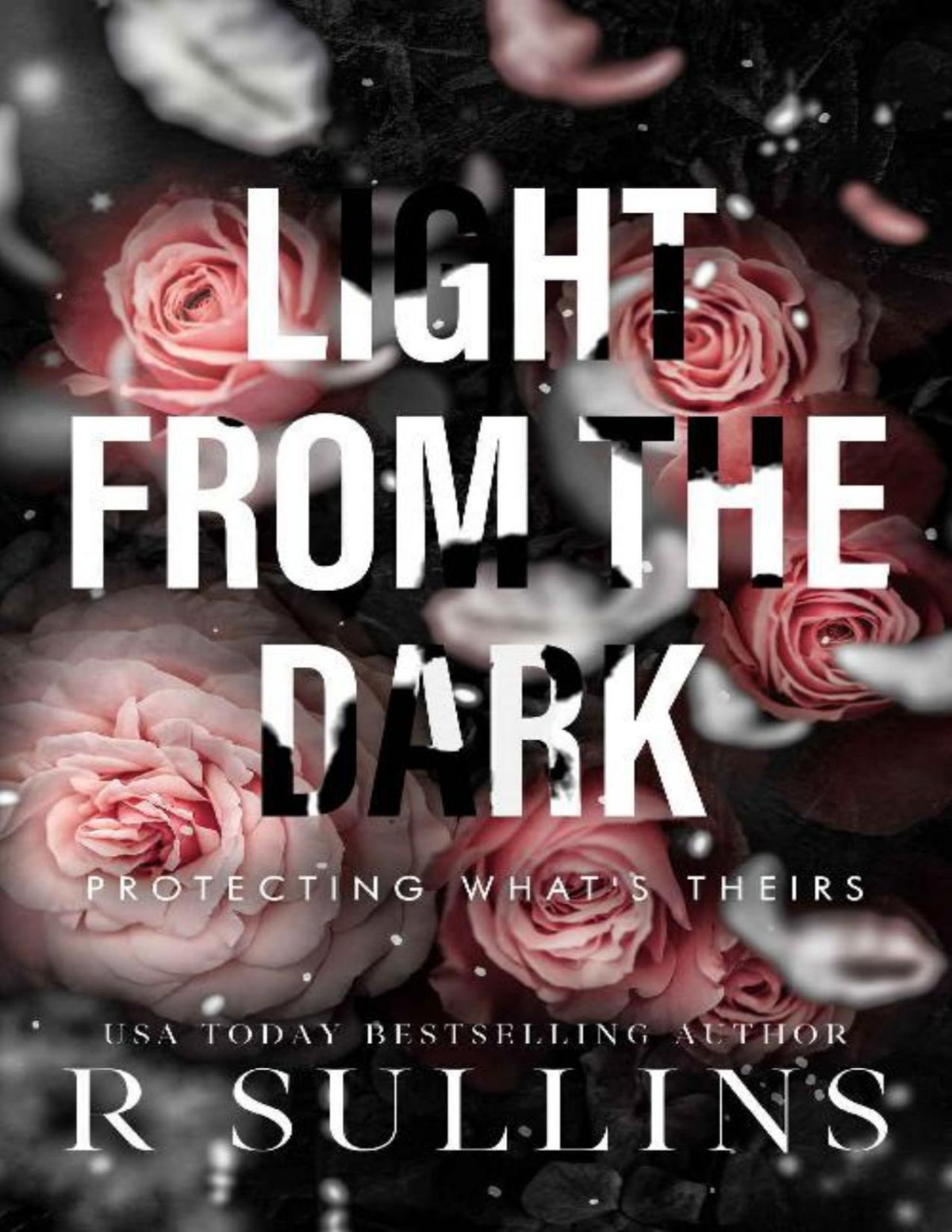 Light From The Dark Protecting Whats Theirs R Sullins