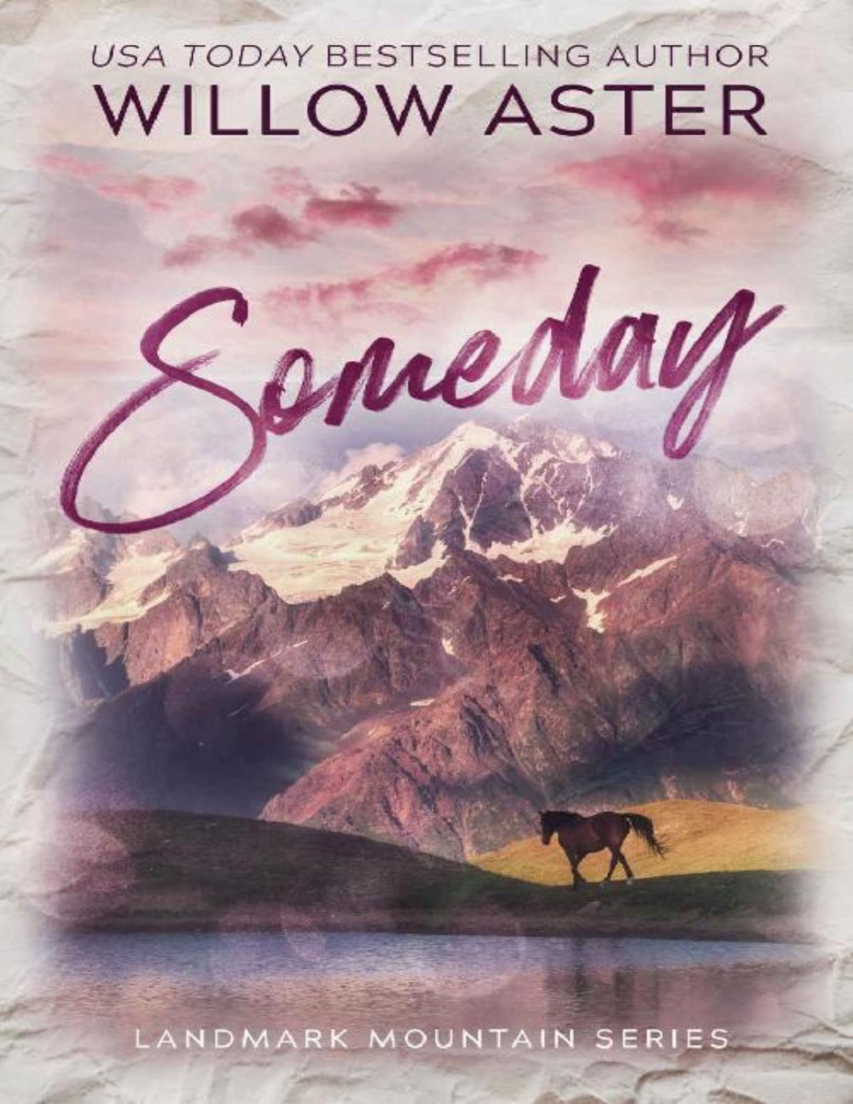 Someday 1st Edition Willow Aster