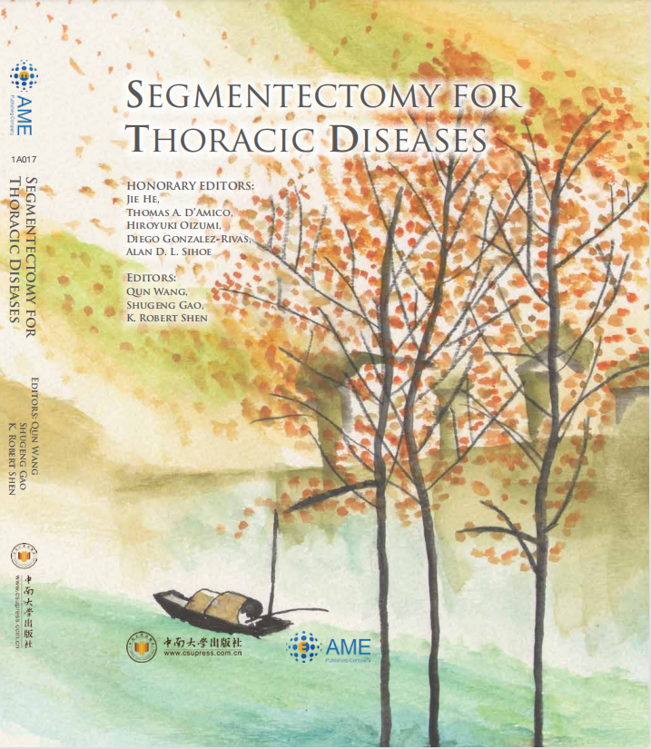 Segmentectomy For Thoracic Diseases 1st Edition