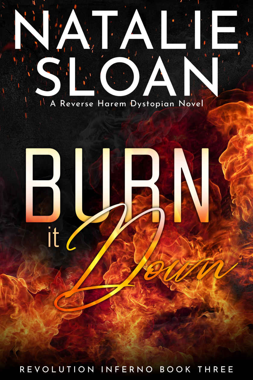 Burn It Down Revolution Inferno Book 3 Natalie Sloan