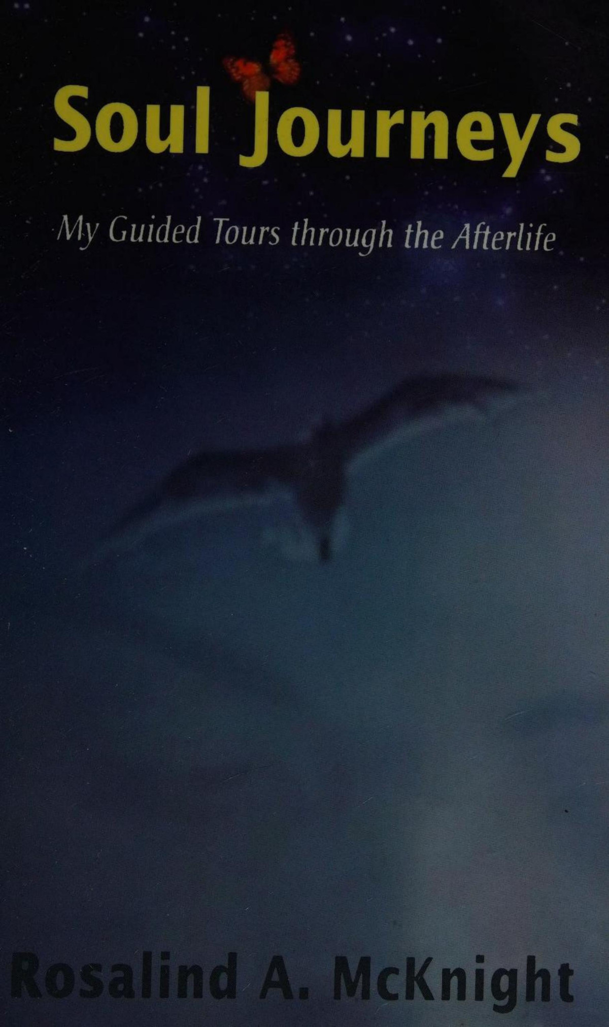 Soul Journeys Rosalind A Mcknight