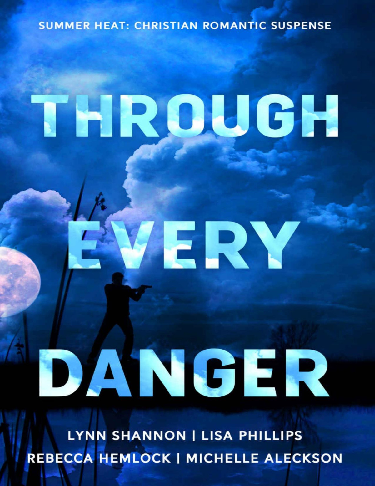 Through Every Danger Four Christian Romantic Suspense Novels Summer Heat 2023 Lisa Phillips Michelle Aleckson Lynn Shannon Rebecca Hemlock