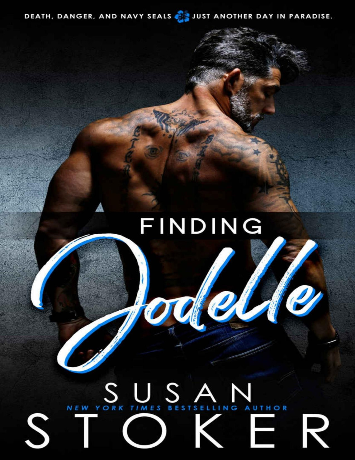 Finding Jodelle Seal Team Hawaii Book 7 Susan Stoker