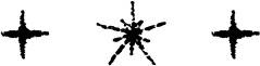 Ravage The Dark 2 Scavenge The Stars Tara Sim