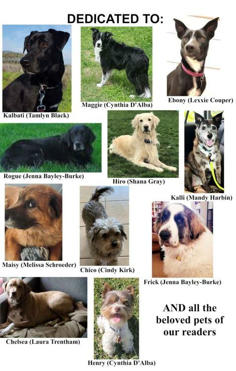 Rescued A Collection Of Contemporary Romances With Heart Heat And Dog Treats Cynthia Dalba Donna Alward Jenna Bayleyburke Mandy Harbin Melissa Schroeder Lexxie Couper Shana Gray Laura Trentham Tamlyn Black Cindy Kirk