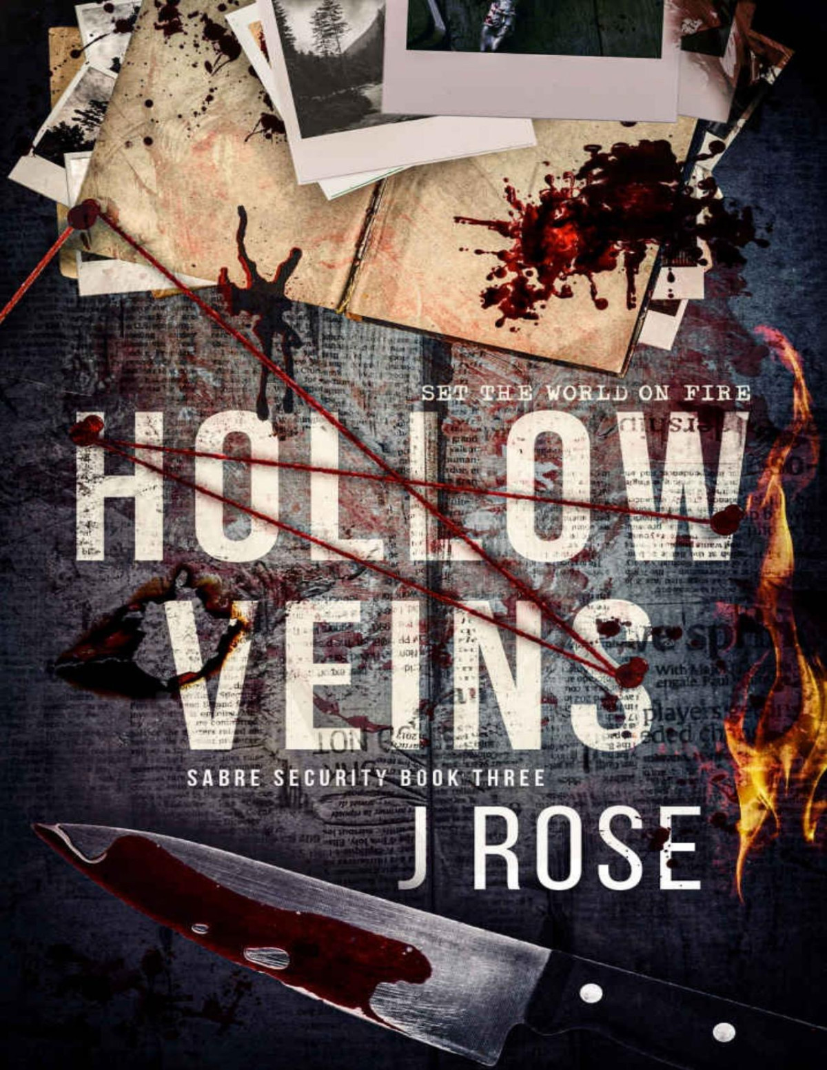 Hollow Veins A Dark Reverse Harem Romance Sabre Security Book 3 Converted J Rose