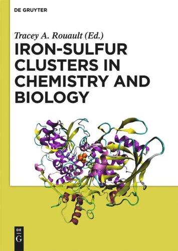 Ironsulfur Clusters In Chemistry And Biology