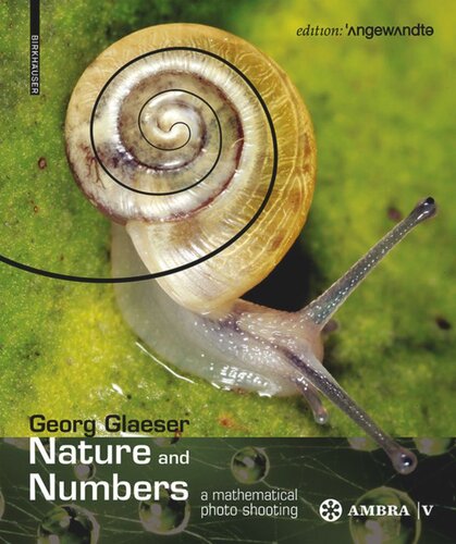Nature And Numbers A Mathematical Photo Shooting Georg Glaeser