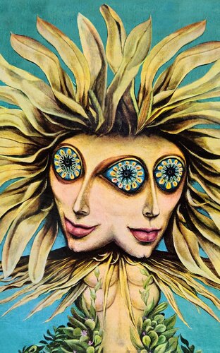 The Psychedelic Digest David Handyside