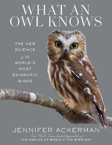 What An Owl Knows 1st Edition Jennifer Ackerman