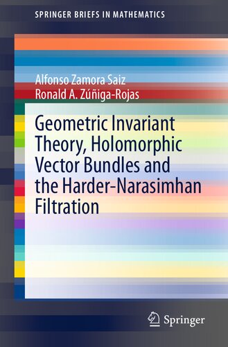Geometric Invariant Theory Holomorphic Vector Bundles And The Hardernarasimhan Filtration 1st Ed 2021 Alfonso Zamora Saiz