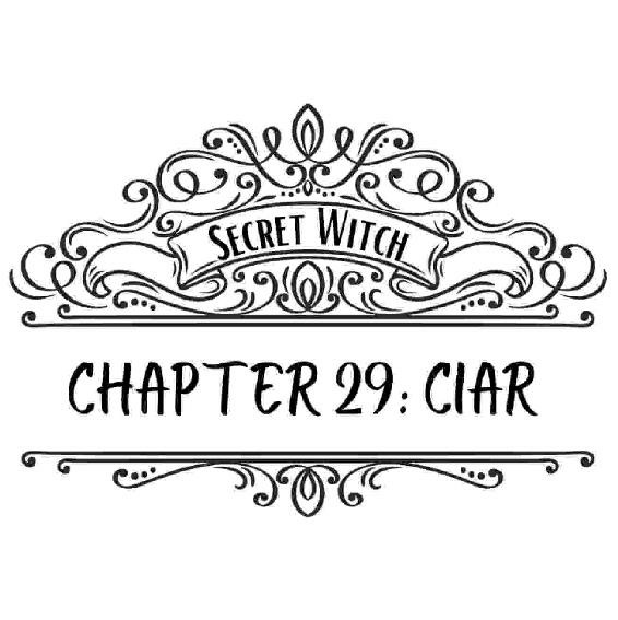 Secret Witch The Primordial Queen Book 1 Letty Frame