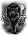 Shadow City Demon Wolf Complete Series Jen L Grey Shadow City