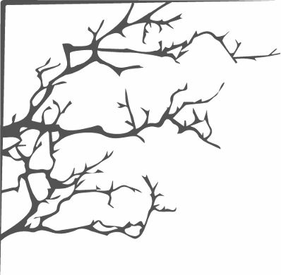 Shadow Of Thorns Wicked Fae Book 4 Stacey Trombley