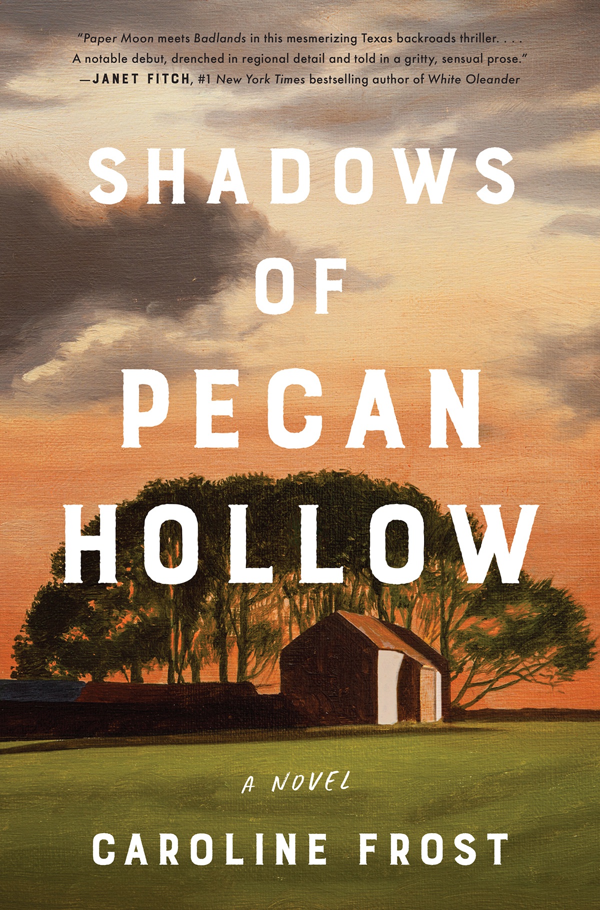 Shadows Of Pecan Hollow Caroline Frost