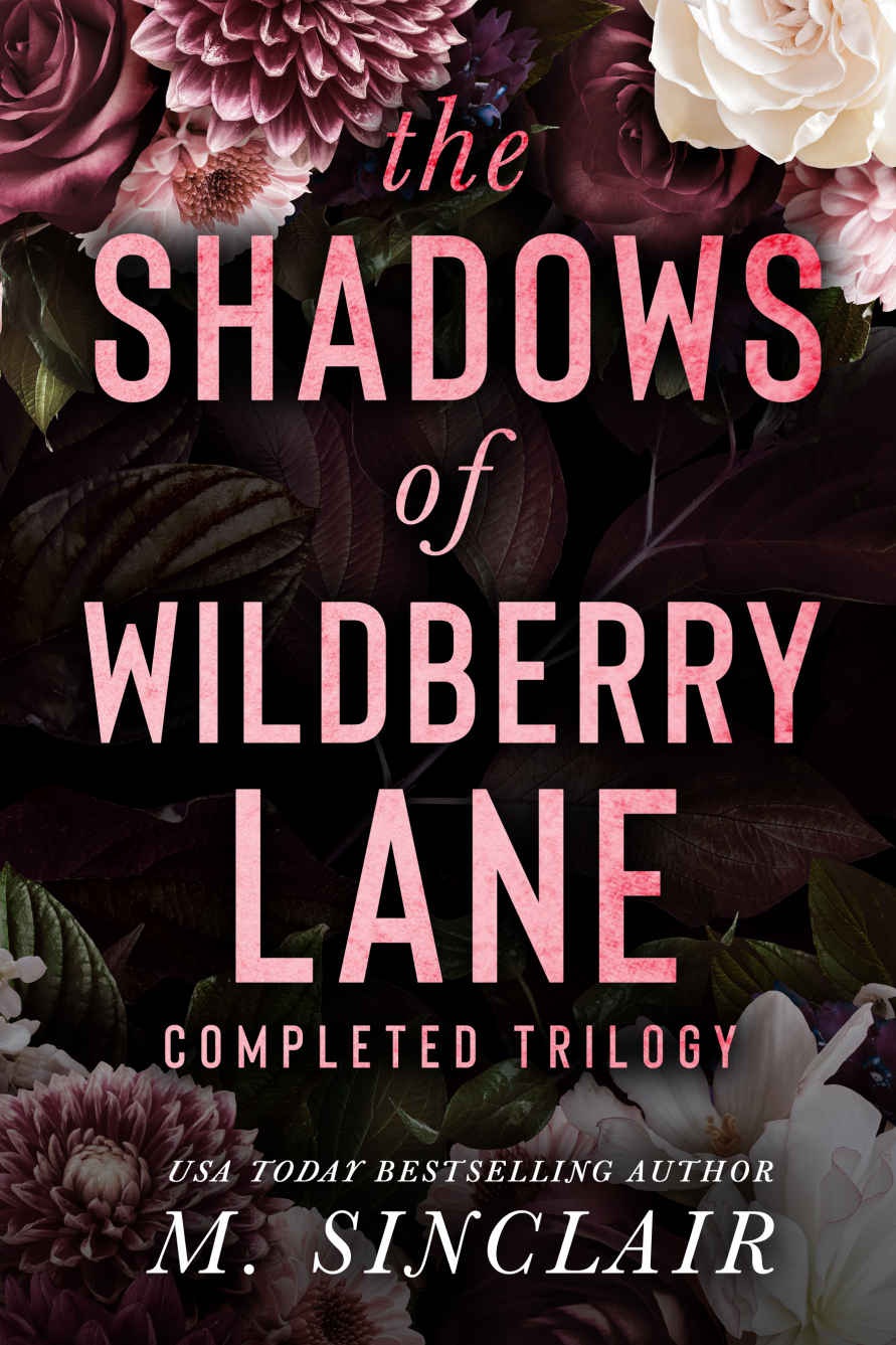 The Shadows Of Wildberry Lane Completed Trilogy 1st M Sinclair