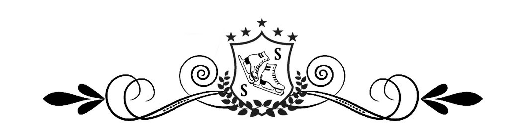Storm A Paranormal Romantic Comedy Silver Skates Book 5 Eva Delaney Silver Springs Library