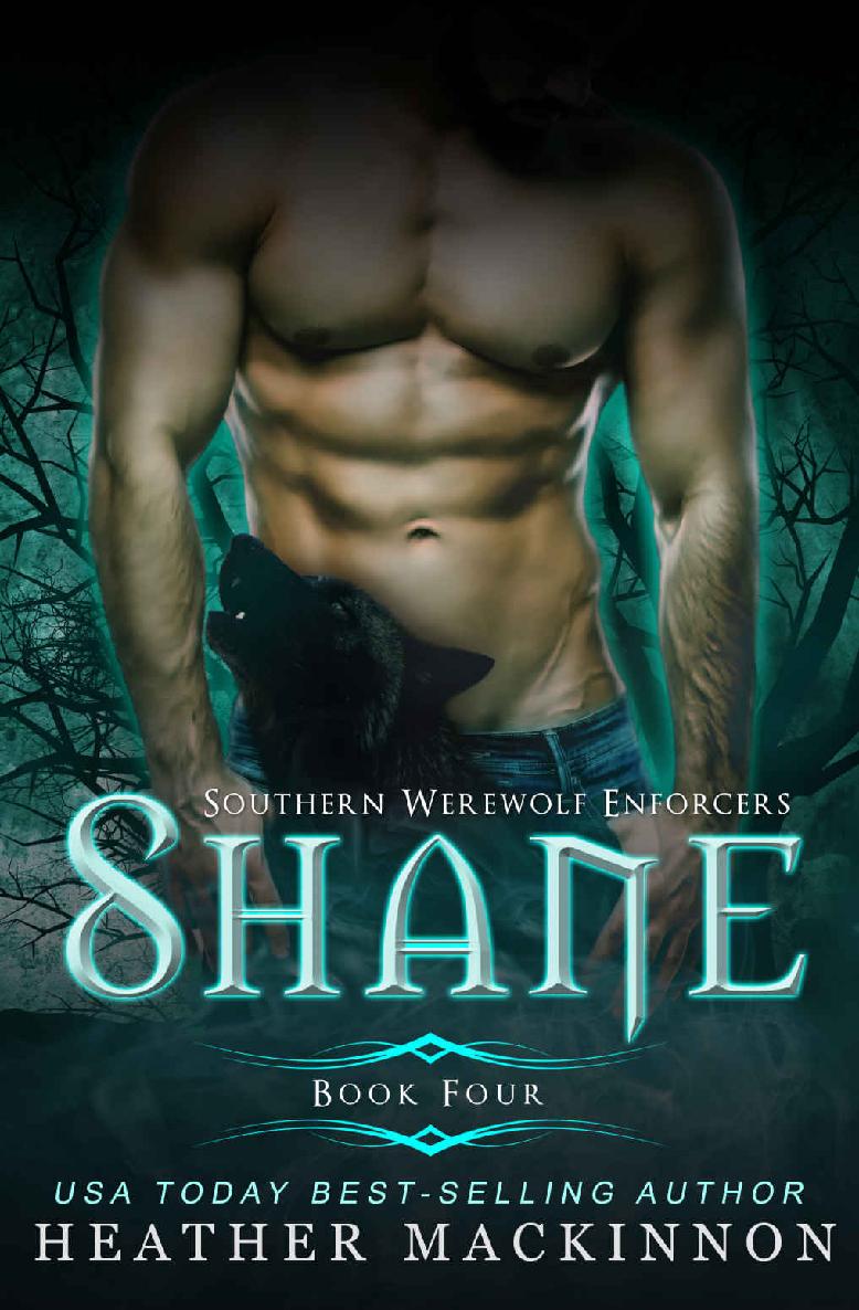 Shane Southern Werewolf Enforcers Book 4 Heather Mackinnon