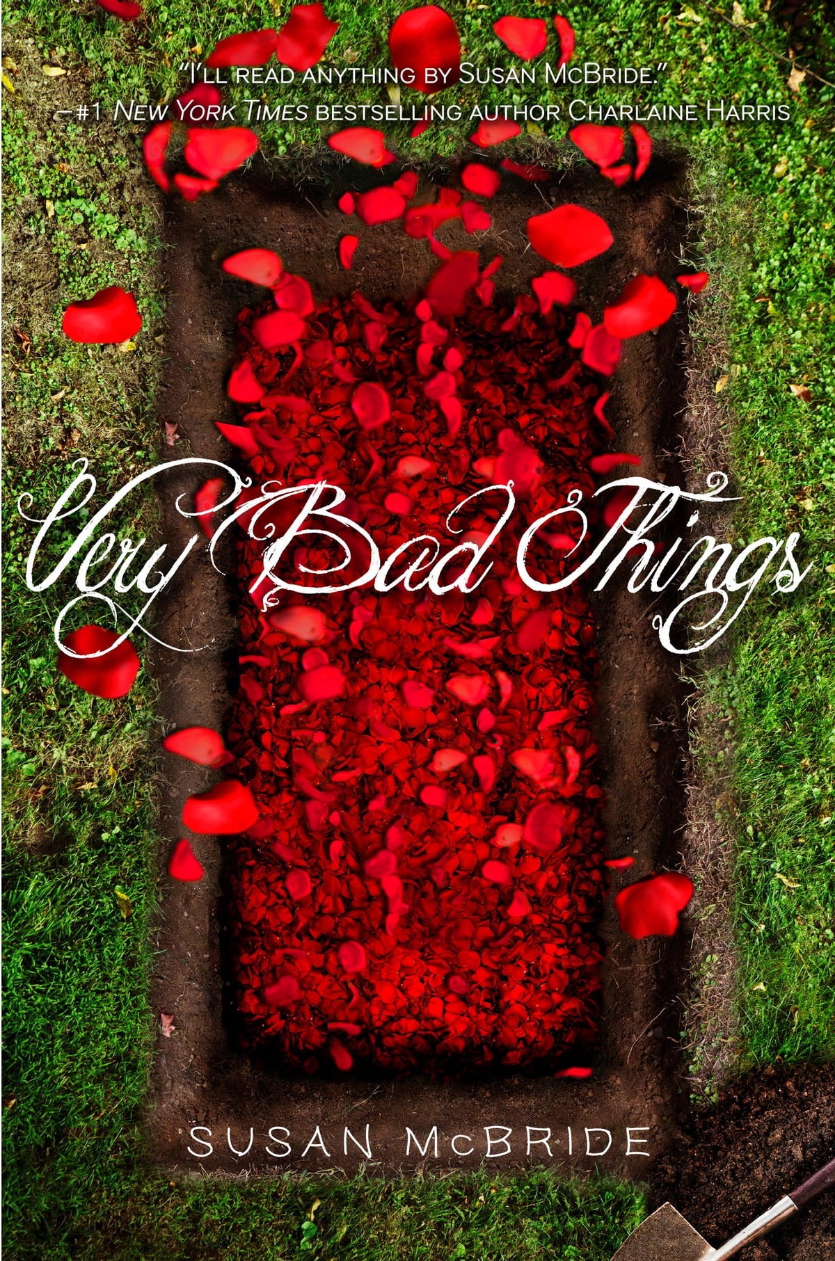 Very Bad Things Susan Mcbride