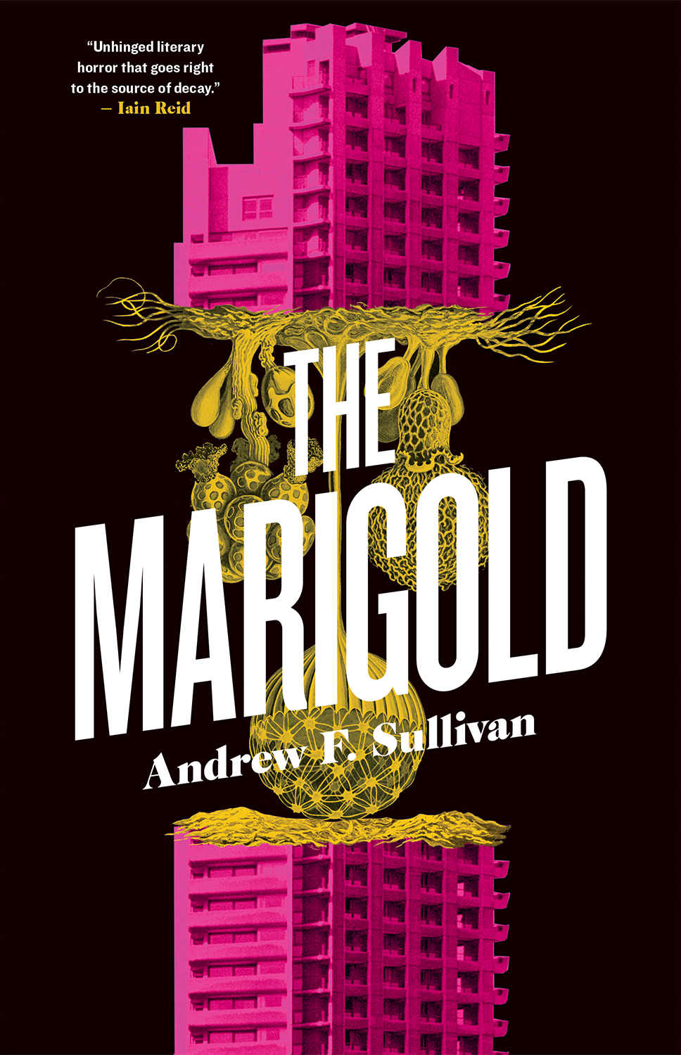 The Marigold Andrew F Sullivan