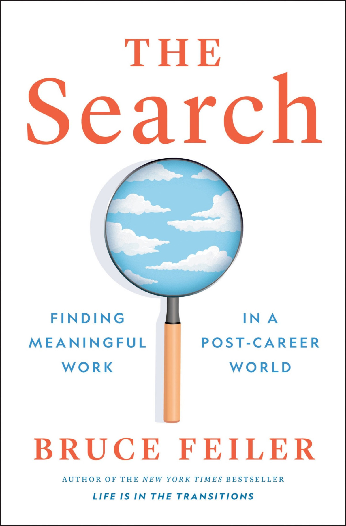 The Search Finding Meaningful Work In A Postcareer World Bruce Feiler