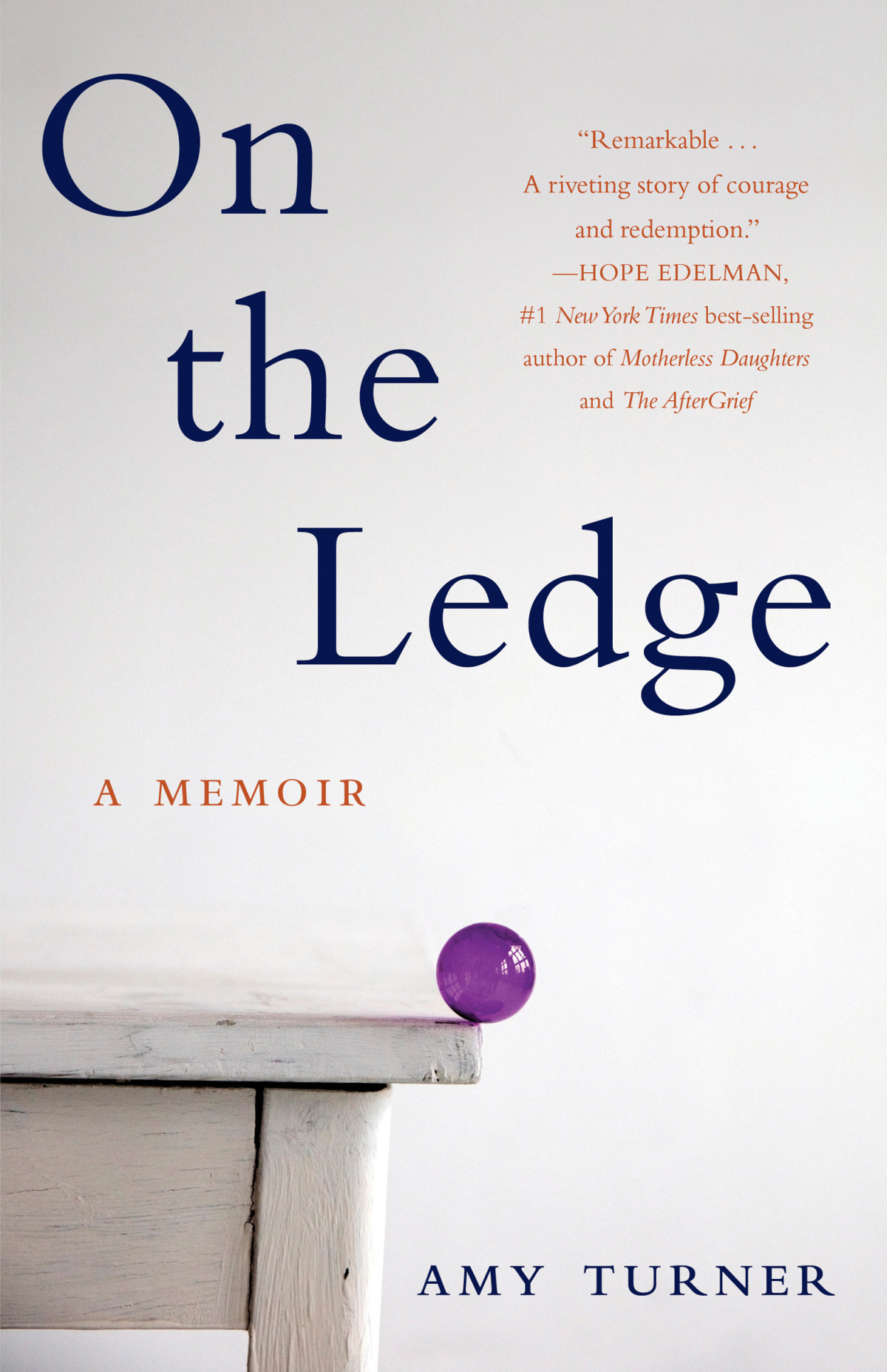 On The Ledge 1st Edition Amy Turner