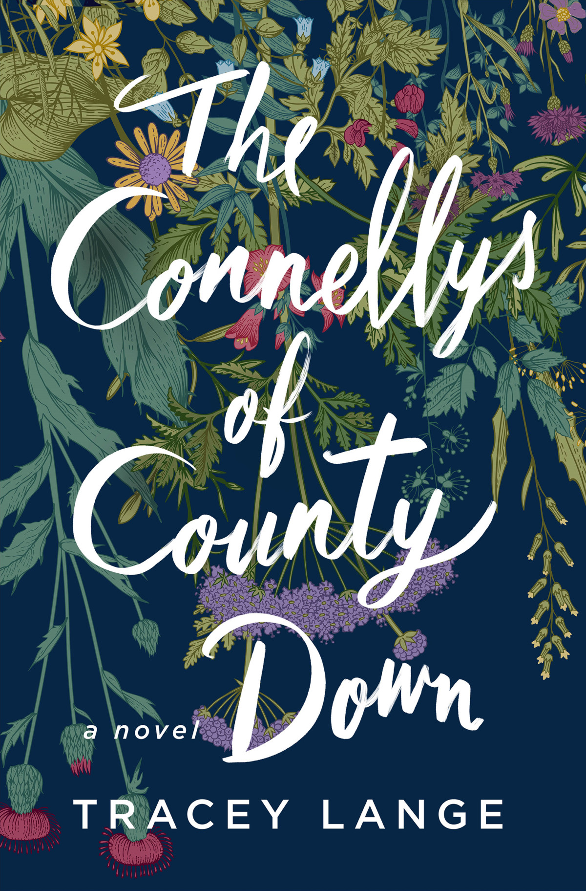 The Connellys Of County Down A Novel Tracey Lange