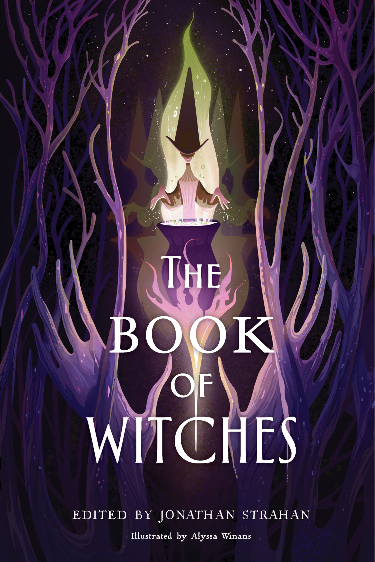 The Book Of Witches Jonathan Strahan