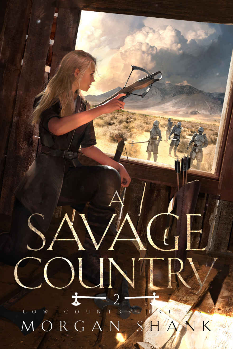 A Savage Country Low Country Trilogy Book 2 Morgan Shank