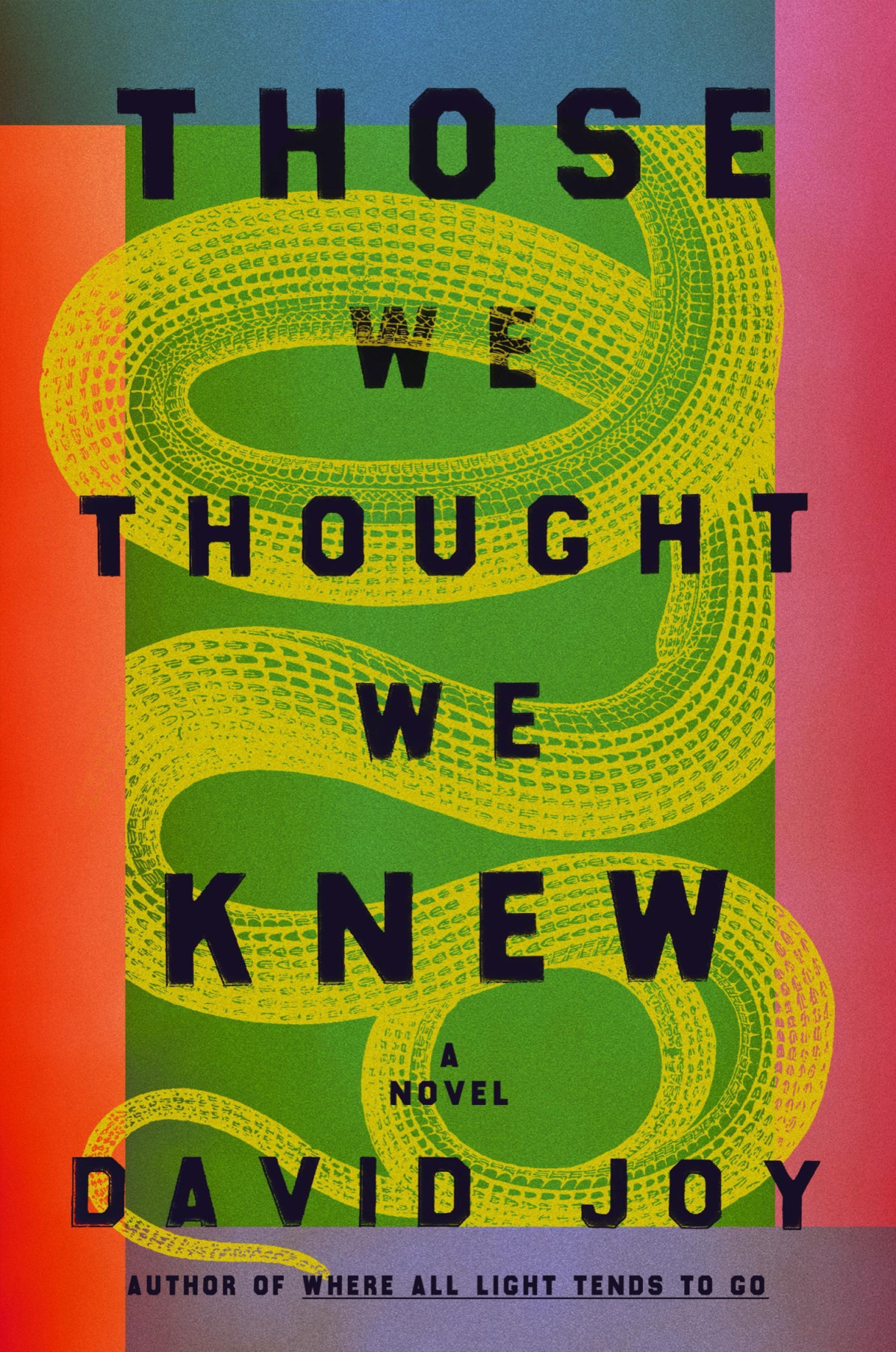 Those We Thought We Knew David Joy
