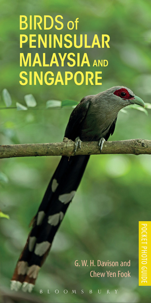 Birds Of Peninsular Malaysia And Singapore G W H Davison