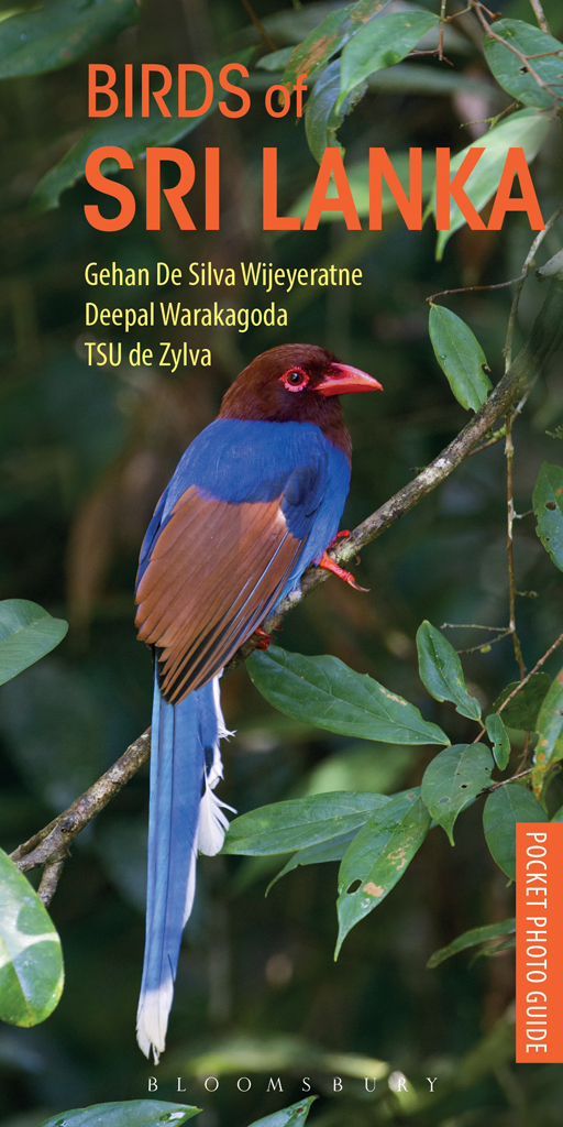 Birds Of Sri Lanka Gehan De Silva Wijeyeratnedeepal Warakagoda