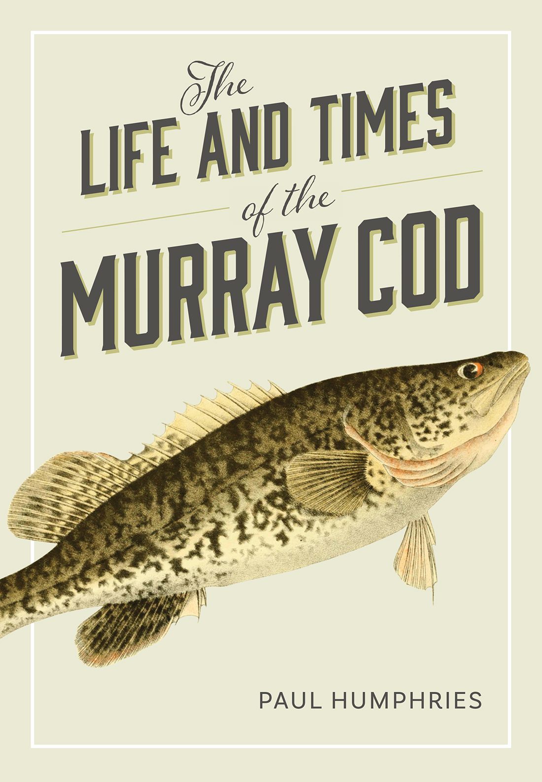 The Life And Times Of The Murray Cod Paul Humphries
