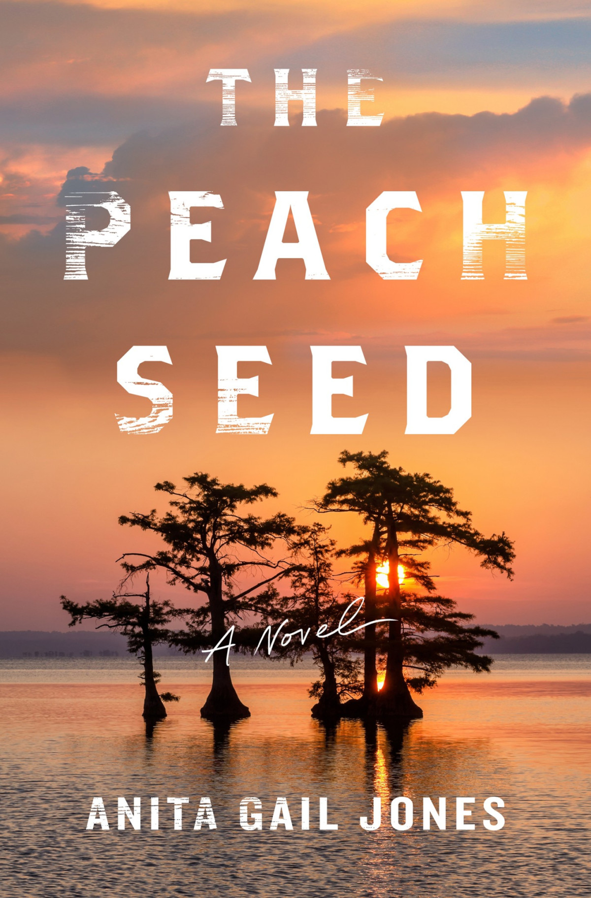 The Peach Seed Anita Gail Jones