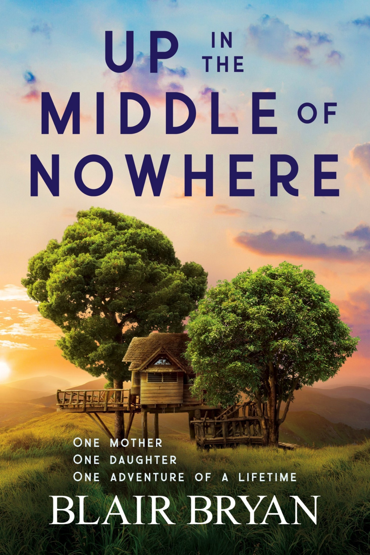 Up In The Middle Of Nowhere 1st Edition Blair Bryan