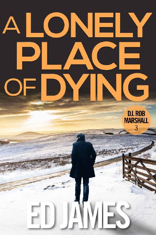 A Lonely Place Of Dying A Hardhitting Scottish Crime Thriller Di Rob Marshall Scottish Borders Police Mysteries Book 3 Ed James