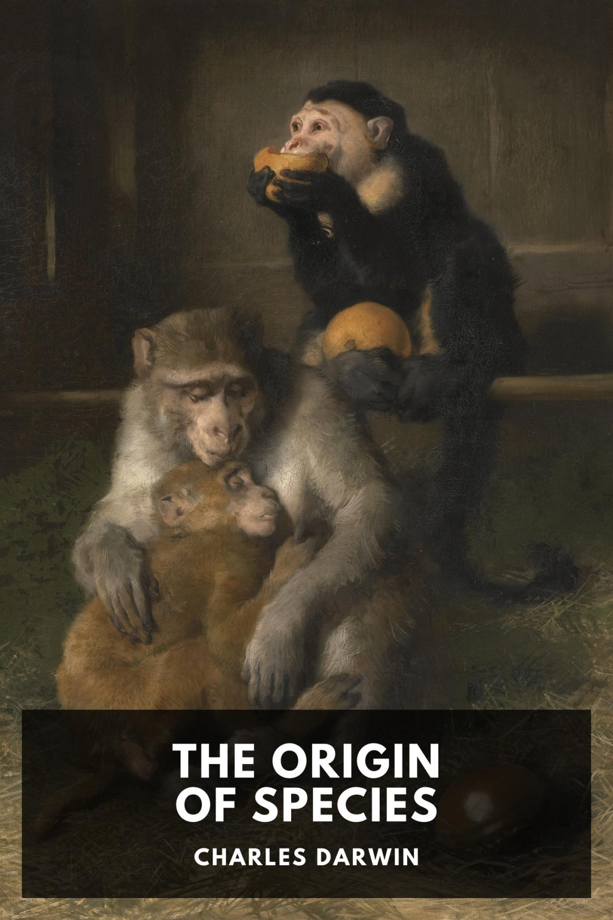 The Origin Of Species Or The Preservation Of Favoured Races In The Struggle For Life Charles Darwin