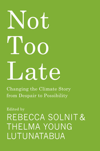 Not Too Late Changing The Climate Story From Despair To Possibility Rebecca Solnit