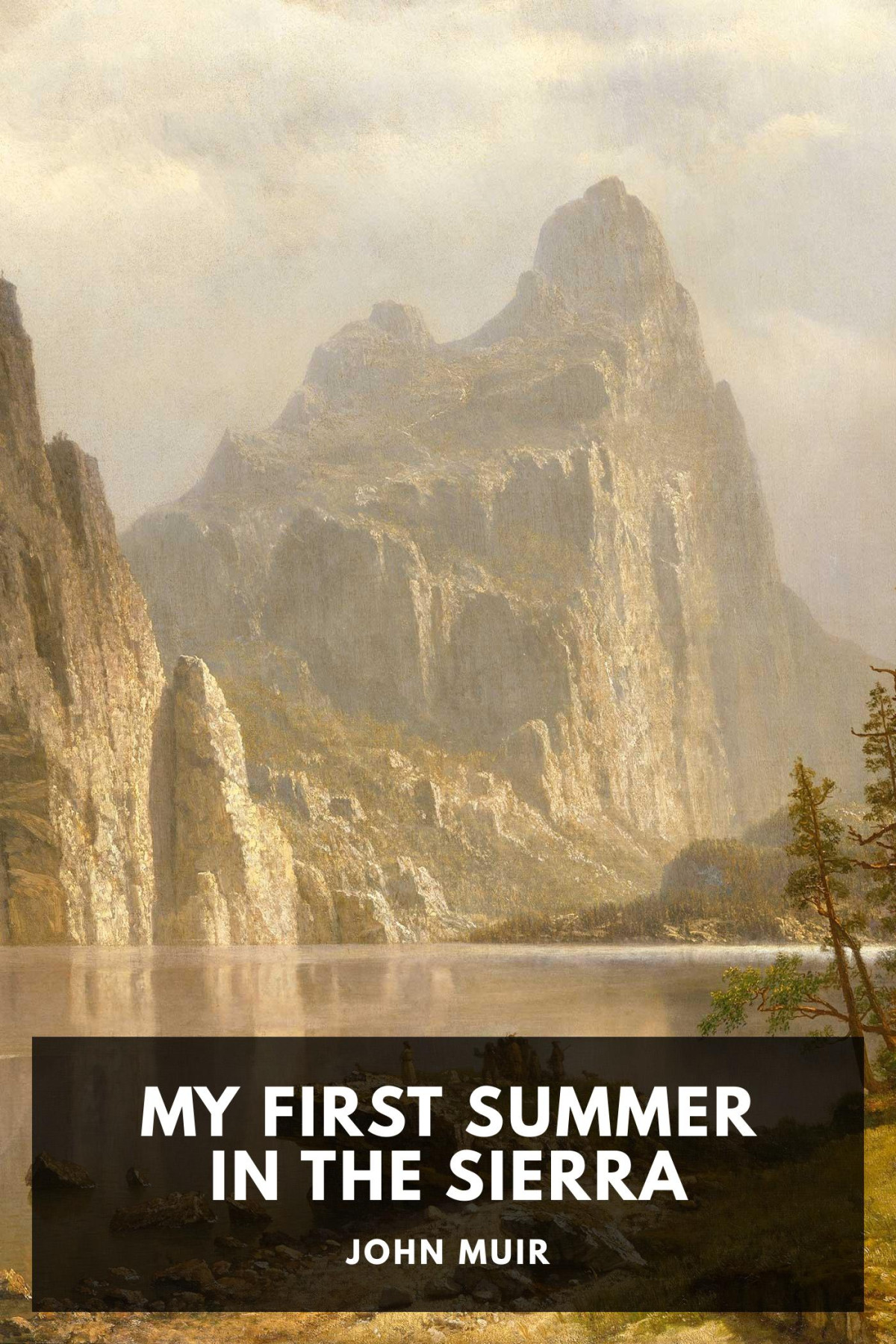 My First Summer In The Sierra John Muir