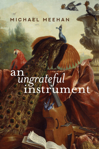 An Ungrateful Instrument Michael Meehan