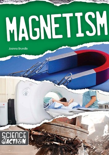 Magnetism Joanna Brundle