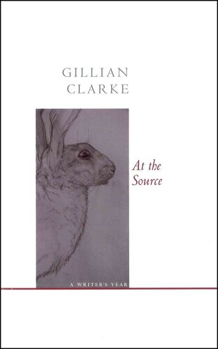 At The Source A Writers Year Gillian Clarke
