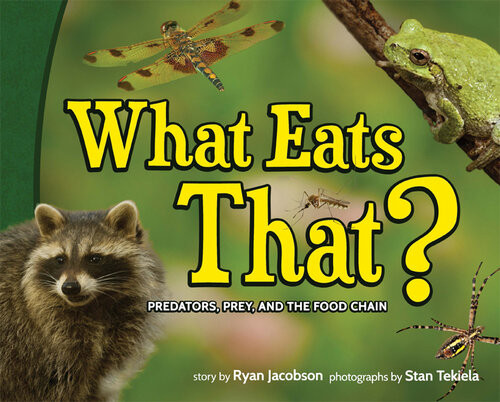 What Eats That Predators Prey And The Food Chain Ryan Jacobson