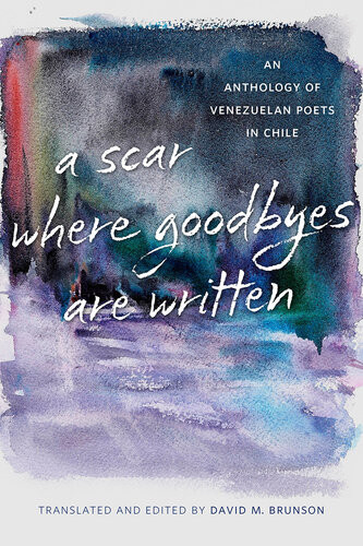 A Scar Where Goodbyes Are Written An Anthology Of Venezuelan Poets In Chile David M Brunson