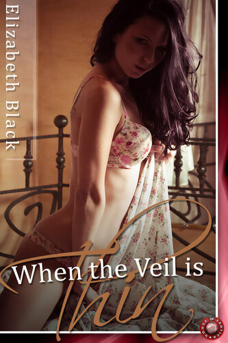 When The Veil Is Thin Sometimes Wet Dreams Come True 2nd Edition Elizabeth Black