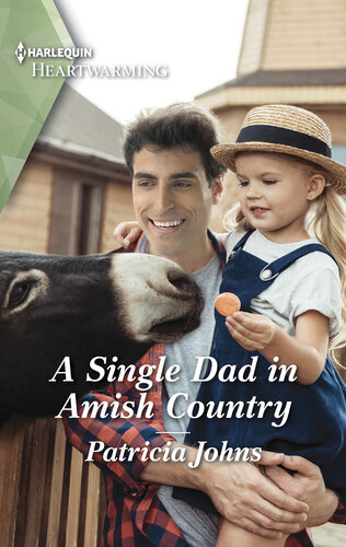 A Single Dad In Amish Country Patricia Johns